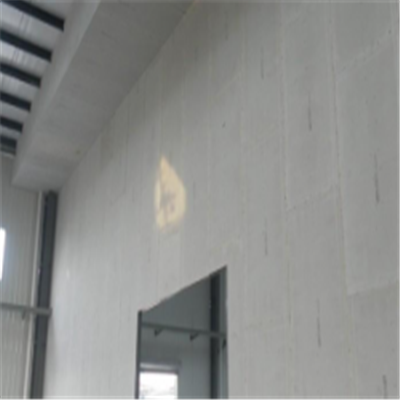 天全宁波ALC板|EPS加气板隔墙与混凝土整浇联接的实验研讨